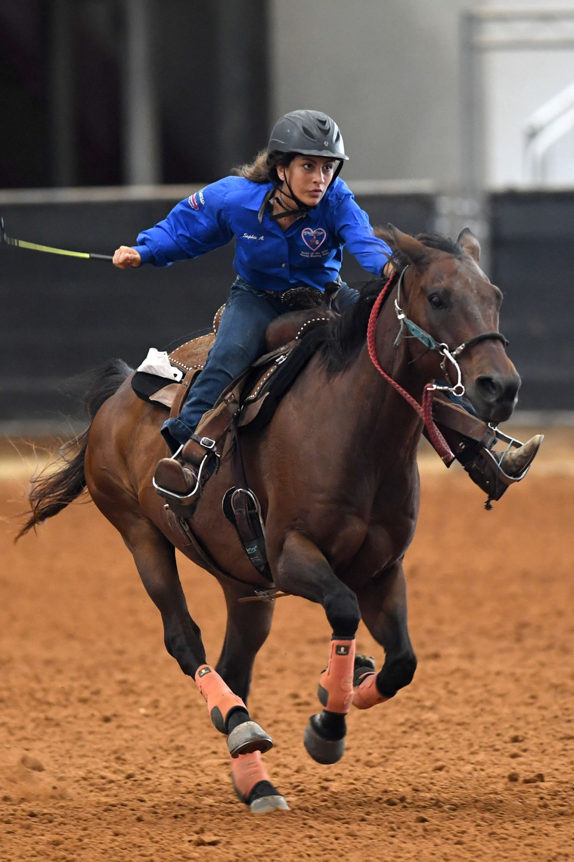 Texas State 4-H Horse Show